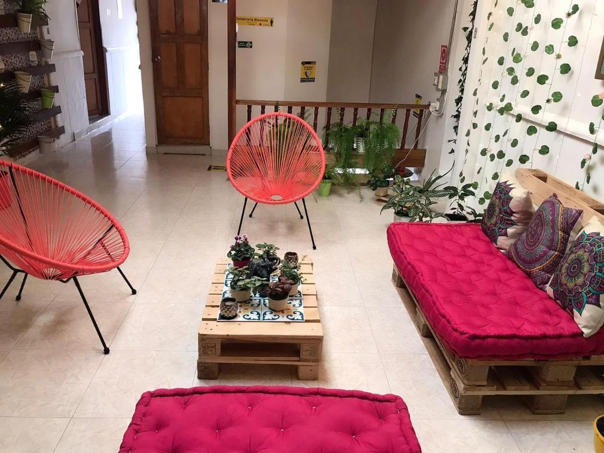 Hospedaje Casa Rosa Jardín Exteriér fotografie
